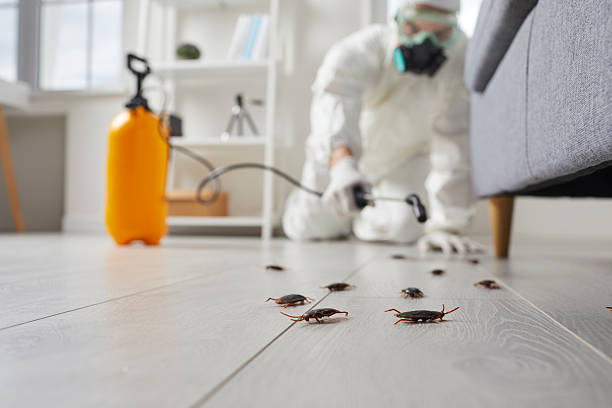 Commercial Kitchen Cockroach Control in Volo